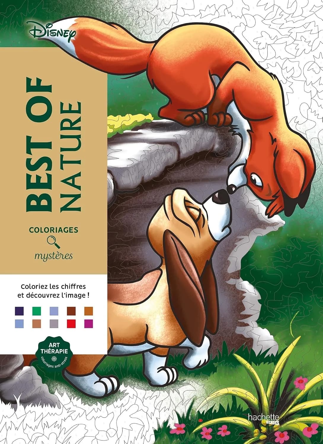 Best Of Nature
